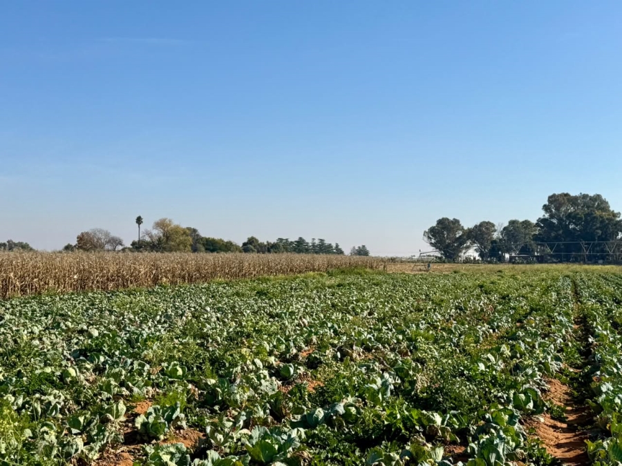 4 Bedroom Property for Sale in Bainsvlei Free State